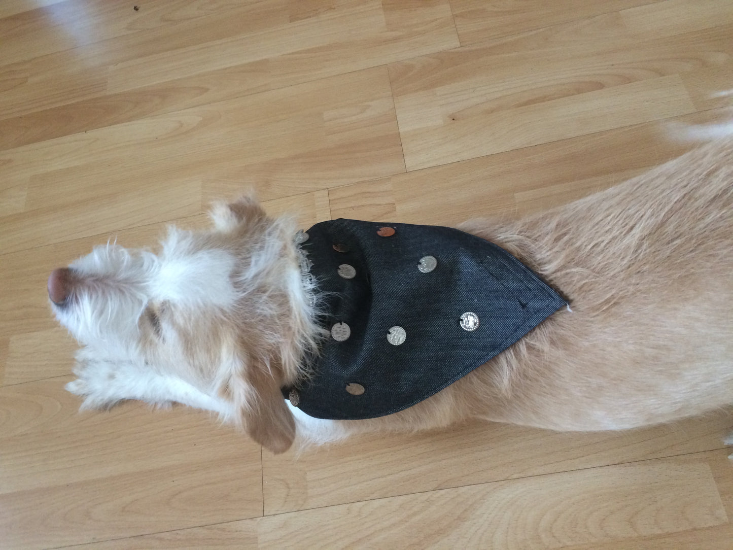 Hunde Halstuch SCARF
