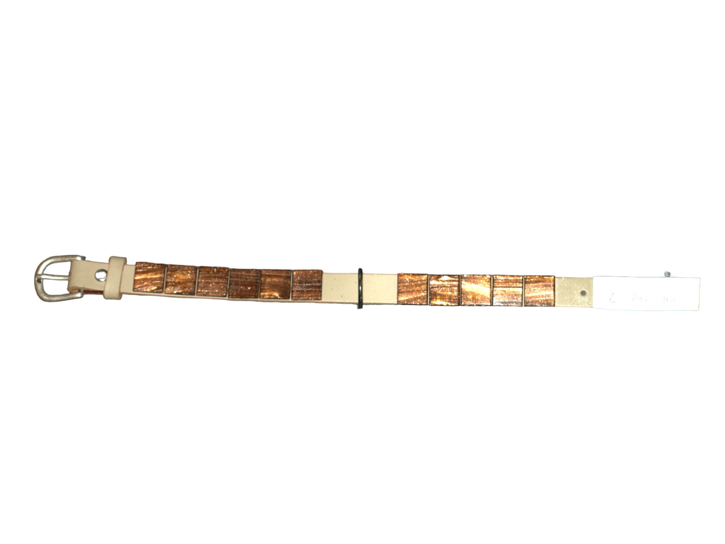 Dog collar. Hundehalsband